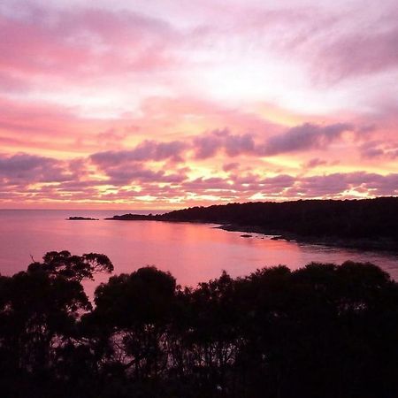 The Loft @ Bay Of Fires Seascape Lejlighed Binalong Bay Eksteriør billede